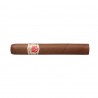 H. MONTERREY LE HOYO DU DEPUTE C/P5-N-25