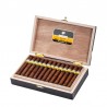 COHIBA MADURO 5-SECRETOS BN-VW-N-25