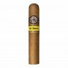 MONTECRISTO WIDE EDMUNDO SBN-VW-C/L-12,13-N-25