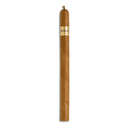 TRINIDAD FUNDADORES SBN-VW-N-12