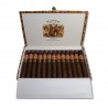 PUNCH SERIE'D ORO No2  2013