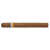 COHIBA SIGLO V SLB-VW-N-25