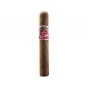 HOYO DE MONTERREY LE HOYO DE RIO SECO