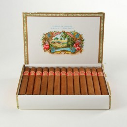 SAINT LUIS REY SERIE A N-25