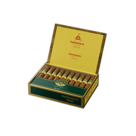 MONTECRISTO, SLAM n-20