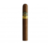 MONTECRISTO, SLAM n-20