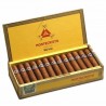 MONTECRISTO MEDIA CORONA