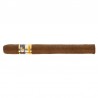 COHIBA ESPLENDIDOS BN-VW-N-25