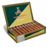 MONTECRISTO OPEN MASTER