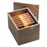 PARTAGAS SHORTS SLB-UW-N-50