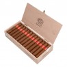 PARTAGAS SERIE D NO.5 SPB-UW-C/L-12,13-N-25