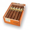COHIBA TALISMAN 2017 SLB-VW-C/L-5-N-10