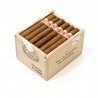 H. MONTERREY LE HOYO DU DEPUTE SLB-UW-N-25