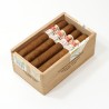 H. MONTERREY EPICURE ESPECIAL SLB-UW-GPSR-M-N-10