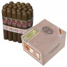 H. MONTERREY LE HOYO DE SAN JUAN SLB-UW-GPSR-M-N-25