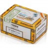 QUINTERO BREVAS CB-C-A/F-M-N-25